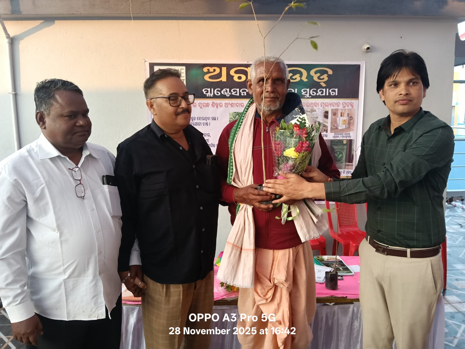 Farmer planting agarwood saplings