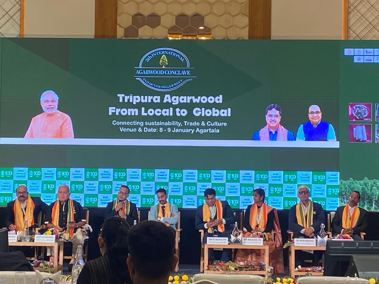 Farmer planting agarwood saplings