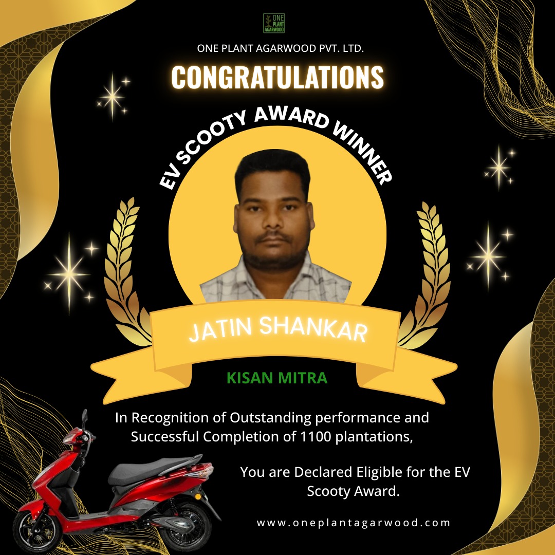 Farmer planting agarwood saplings