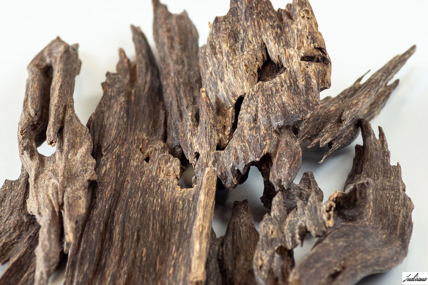 Premium Agarwood Chips