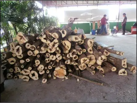 Processing plant delivery 2