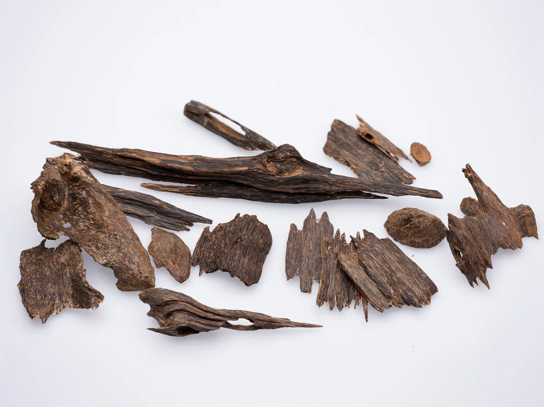 Agarwood Chips