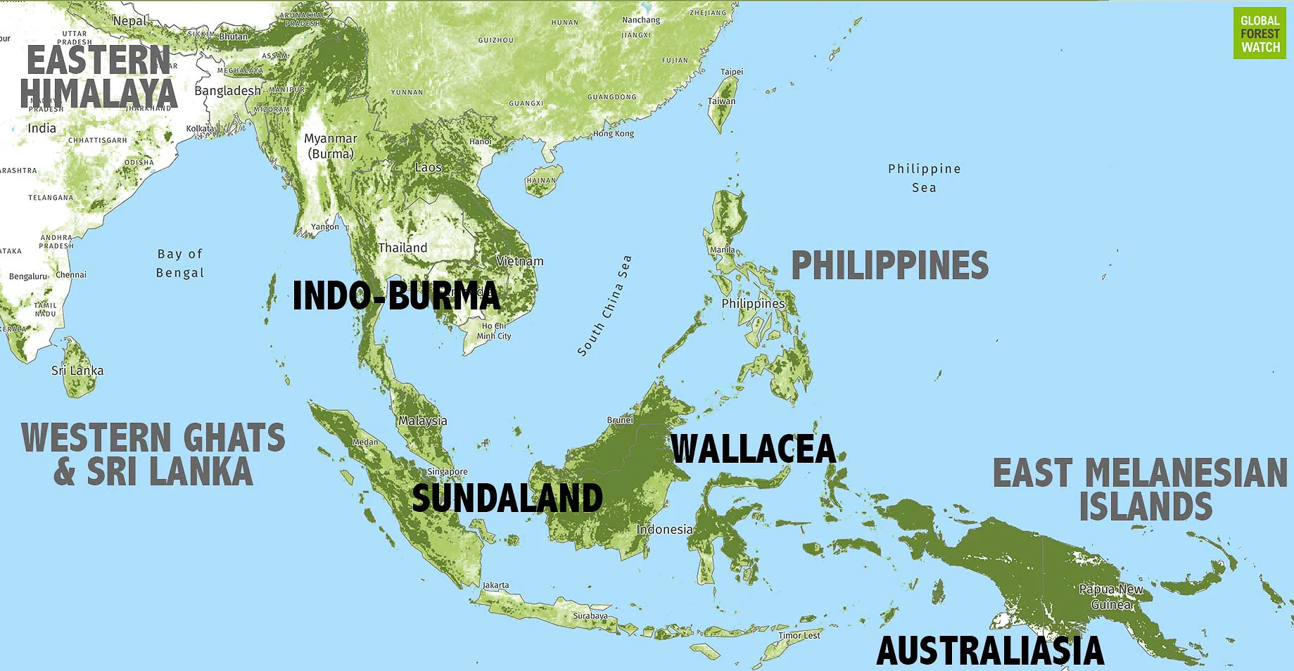 Countries Where Agarwood Tree Grows